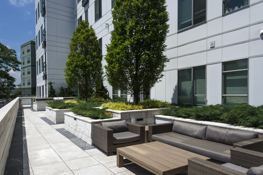 Luxe At Alewife Ma Welcome Home