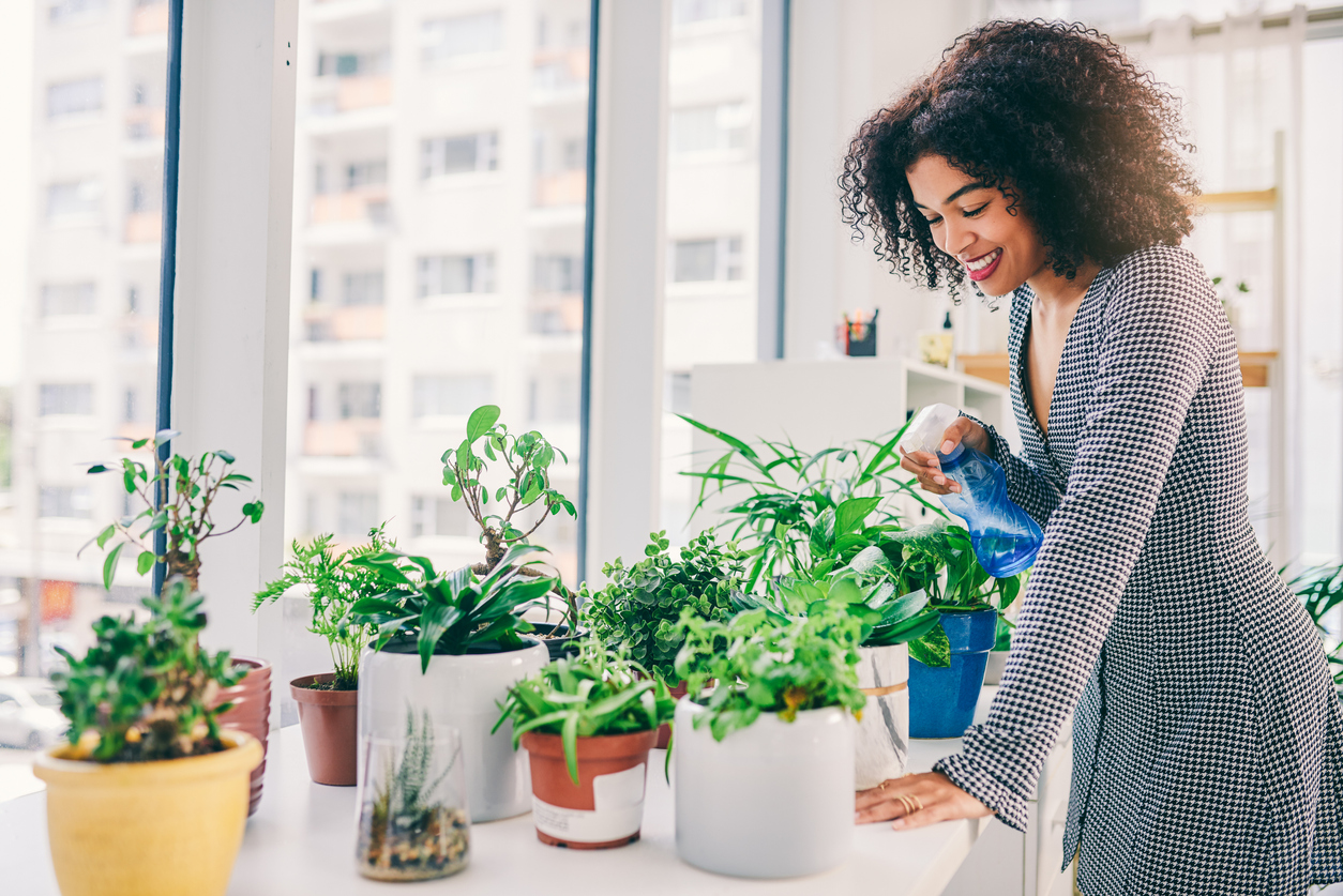 Find the Perfect Houseplants at Cambridge Garden Centers