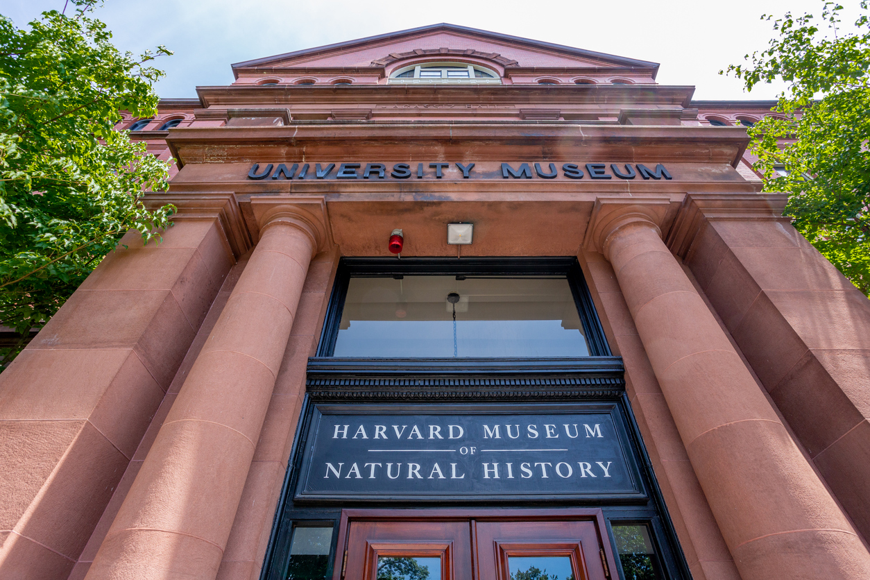 Explore the Harvard Museum of Natural History